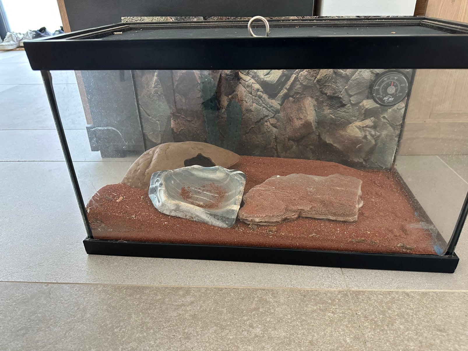 Terrarium voor luipaardgekko, Dieren en Toebehoren, Ophalen, Gebruikt