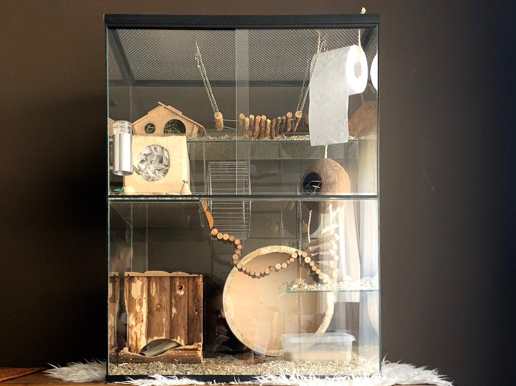 Gerbil kooi 60x40x80 – Gerbilarium, Dieren en Toebehoren, Knaagdieren en Konijnen | Hokken en Kooien, Nieuw, Hok, 60 tot 90 cm