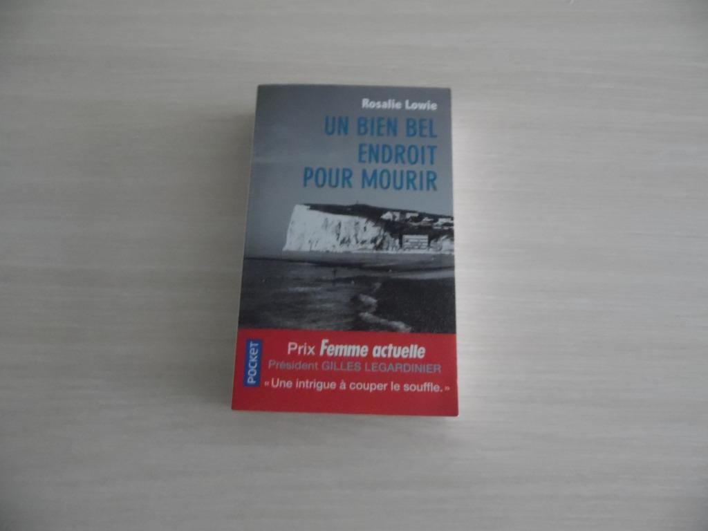 UN BIEN BEL ENDROIT POUR MOURIR       ROSALIE LOWIE, Enlèvement ou Envoi, Rosalie Lowie, Comme neuf, Europe autre
