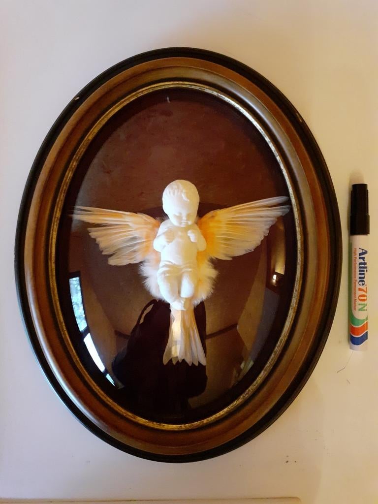 Enfant avec de vraies ailes dans un cadre vintage, Collections, Collections Animaux, Neuf, Autres types, Oiseaux, Enlèvement ou Envoi