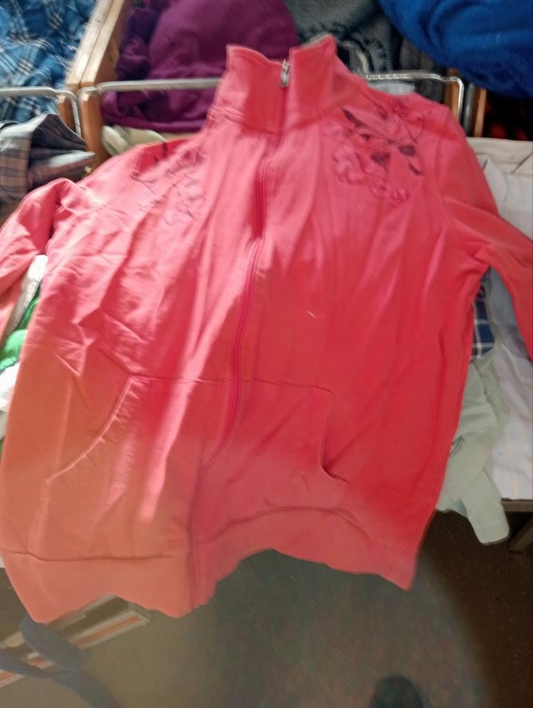 Trui rose, Ophalen of Verzenden, Maat 38/40 (M)