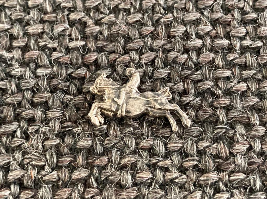 PIN - PAARD - PAARDRIJDEN - CHEVAL - HORSE RIDING, Envoi, Utilisé, Sport, Insigne ou Pin's