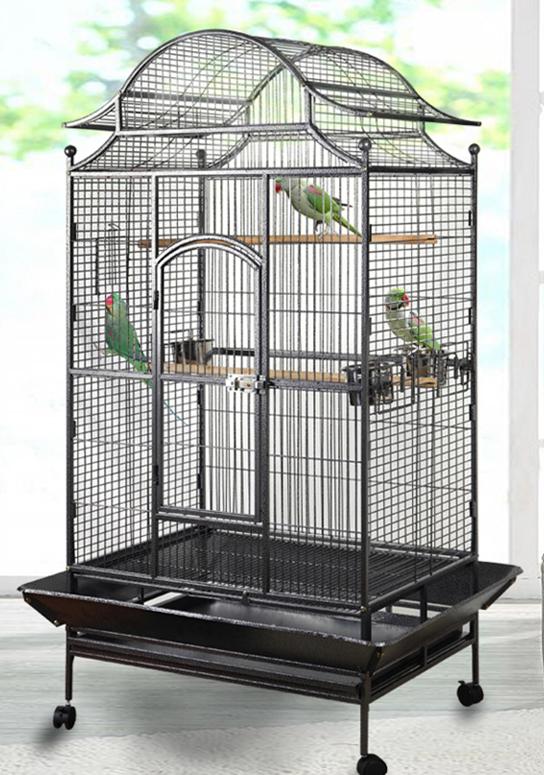 CAGE À PERROQUETS OUVERTE LE DIMANCHE, Enlèvement ou Envoi