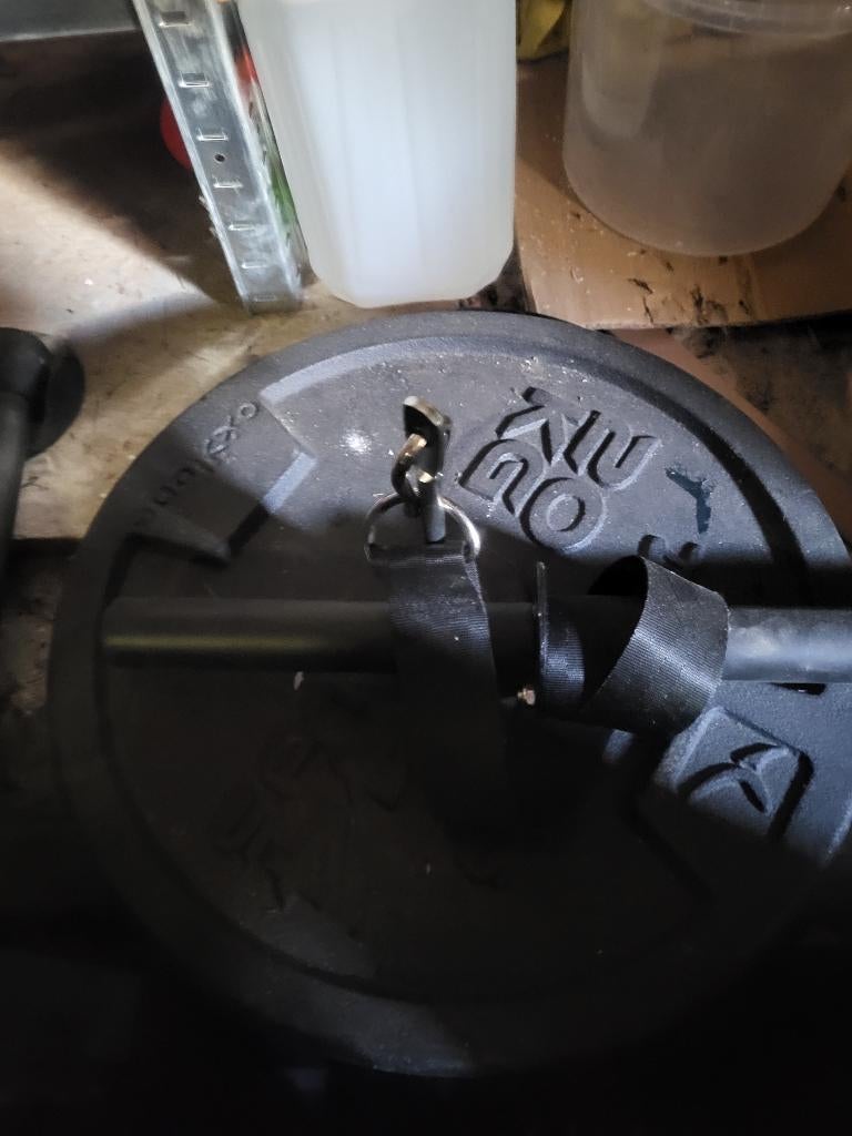 Disque 20kg en fonte, Sports & Fitness, Enlèvement, Comme neuf, Bras, Haltère