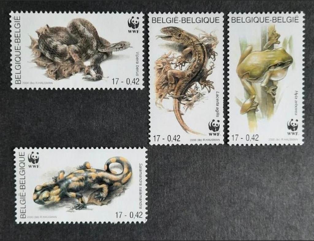 België: OBP 2896/99 ** Amfibieën en reptielen 2000., Frankeerzegel, Ophalen of Verzenden, Zonder stempel, Postfris