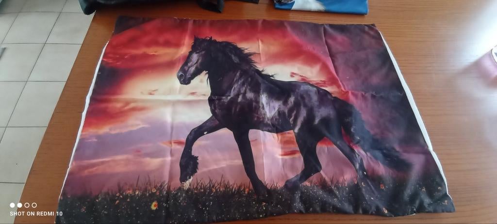 kleren kind paard