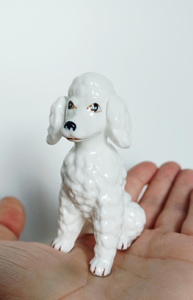 Rare statue de caniche du milieu du siècle, Enlèvement ou Envoi, Comme neuf