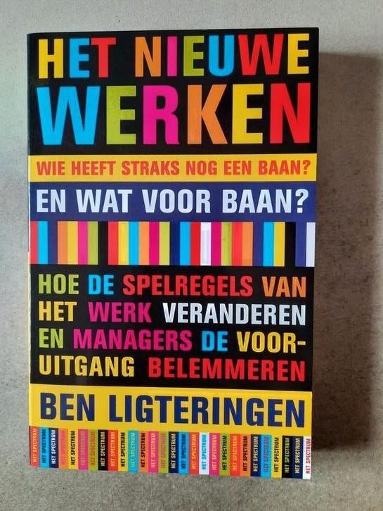 B. Ligteringen - Het nieuwe werken, Enlèvement ou Envoi, Comme neuf, B. Ligteringen