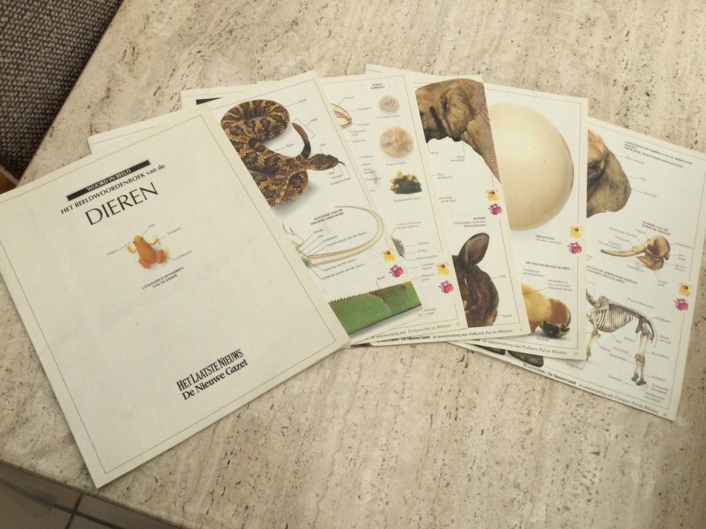 Woord in beeld - het beeldwoordenboek van de dieren, Ophalen of Verzenden