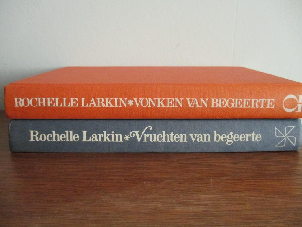 romans, Gelezen, Rochelle Larkin, Ophalen of Verzenden, Amerika