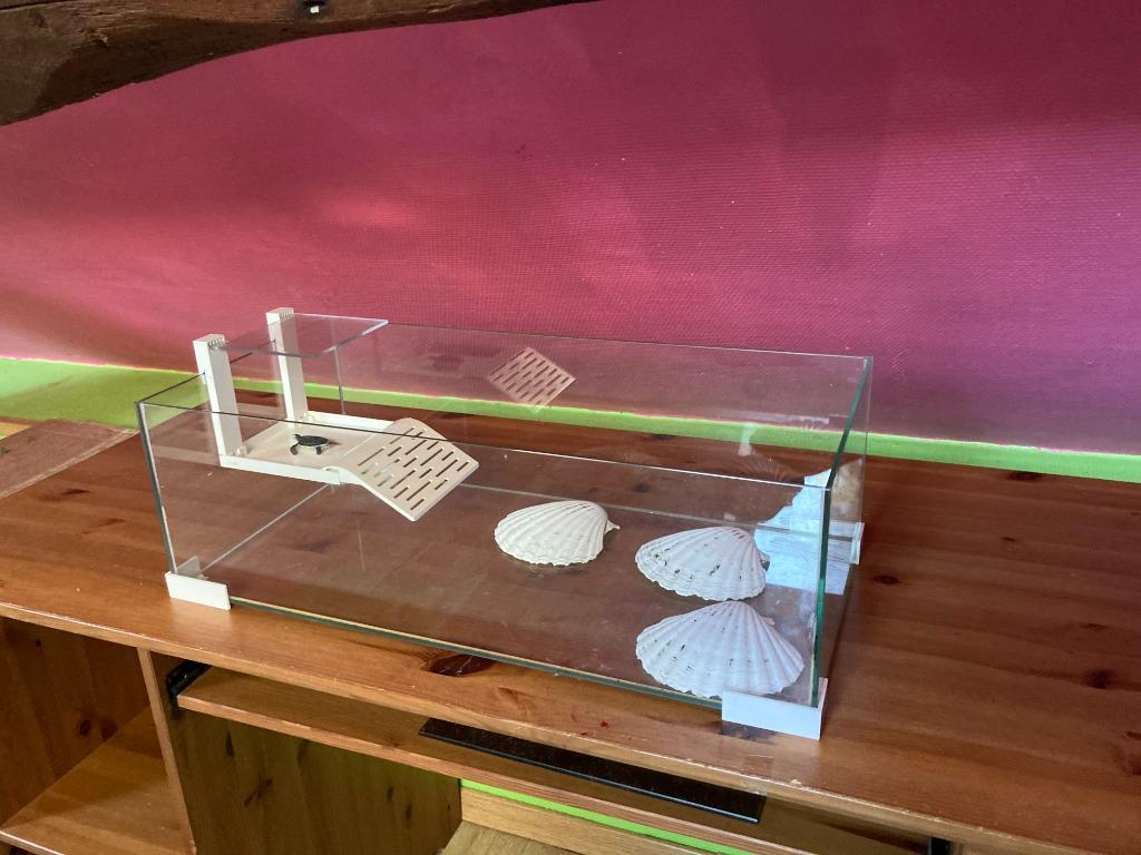 aquarium, Enlèvement, Utilisé, Aquarium vide