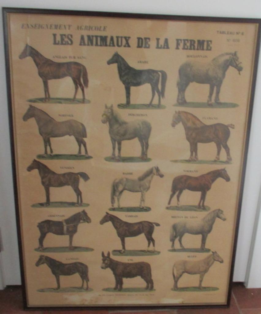 affiche ancienne différentes races de chevaux Paris, Enlèvement