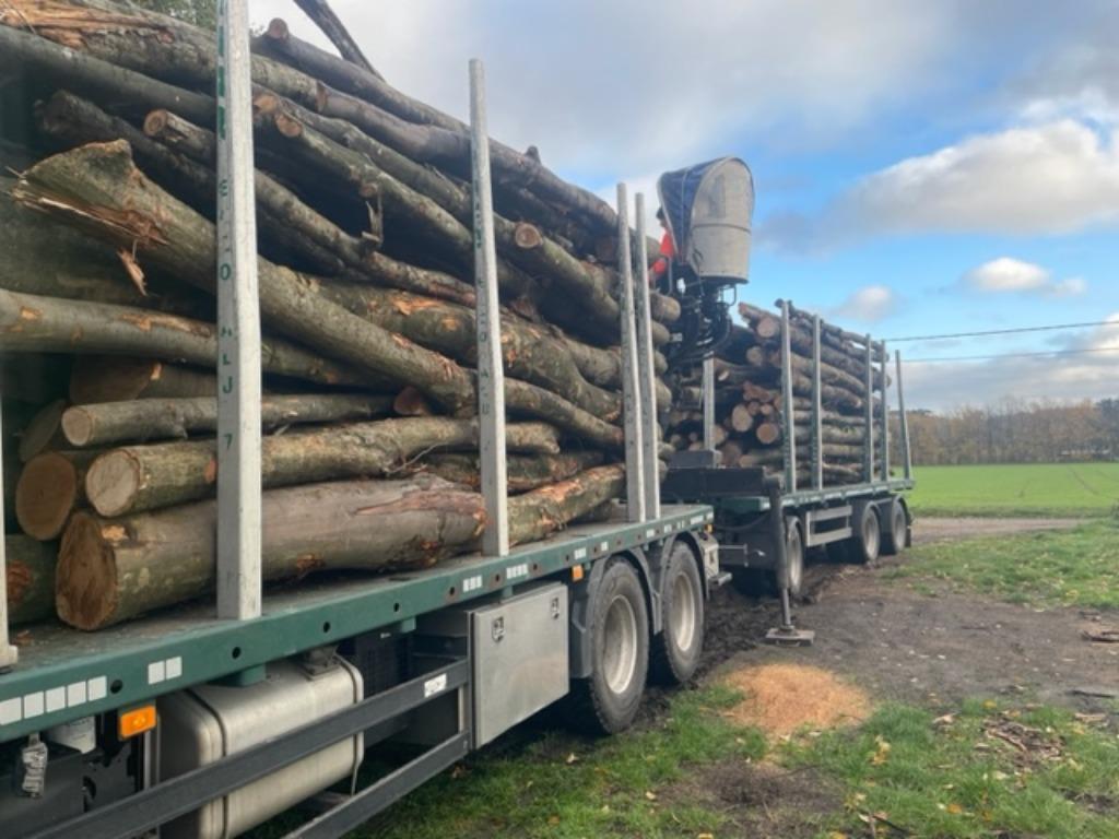 boomstammen te koop voor brandhout, Tuin en Terras, Brandhout, Stammen, Eikenhout, 6 m³ of meer, Ophalen