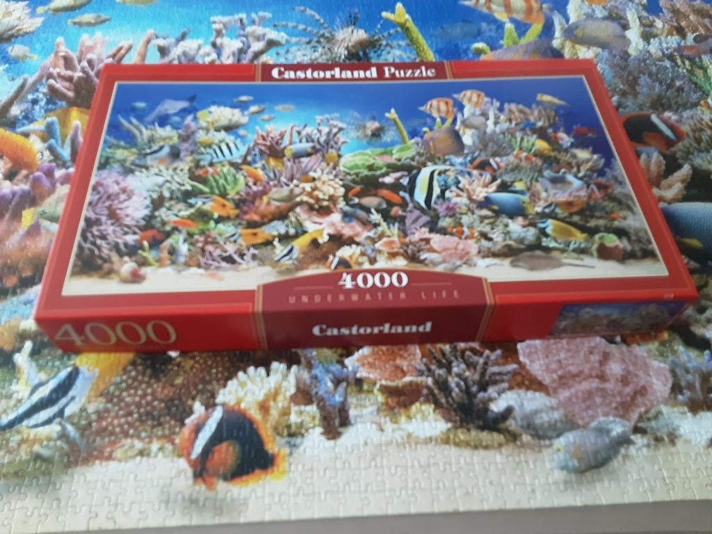 Puzzel 4000 stukken, Hobby en Vrije tijd, Ophalen, Zo goed als nieuw