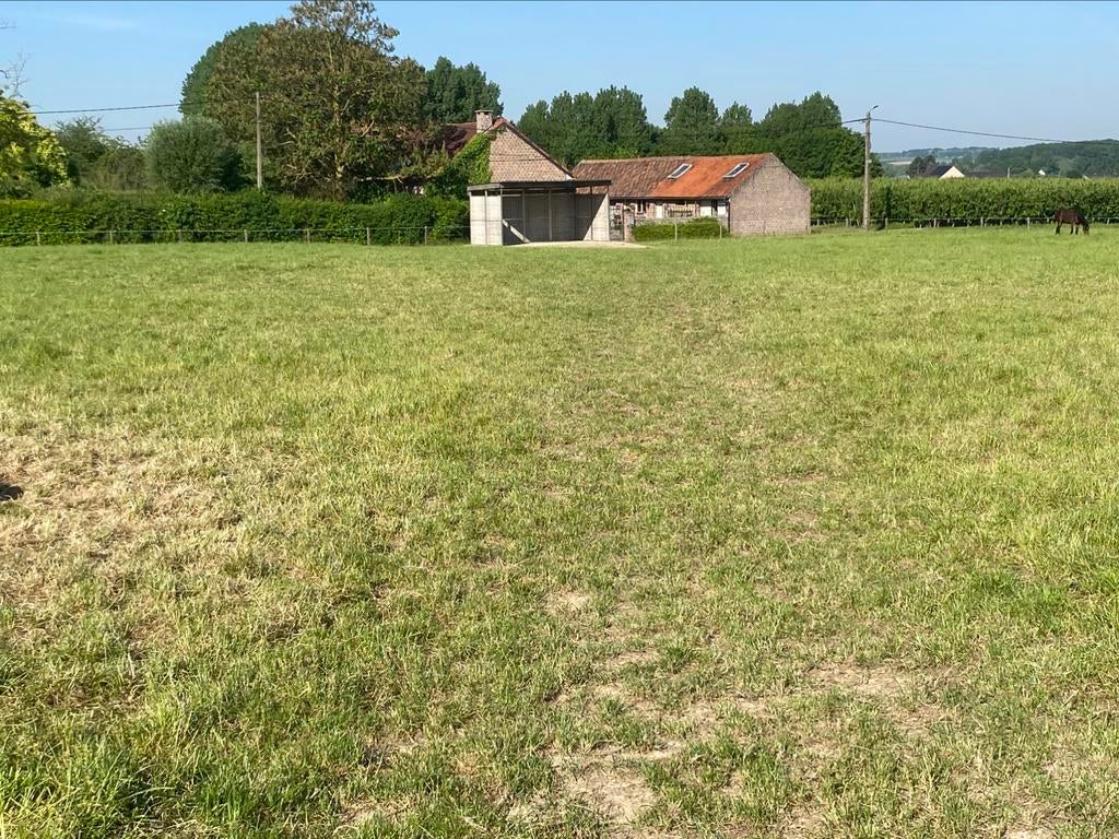 Opfok en weides te huur, Dieren en Toebehoren