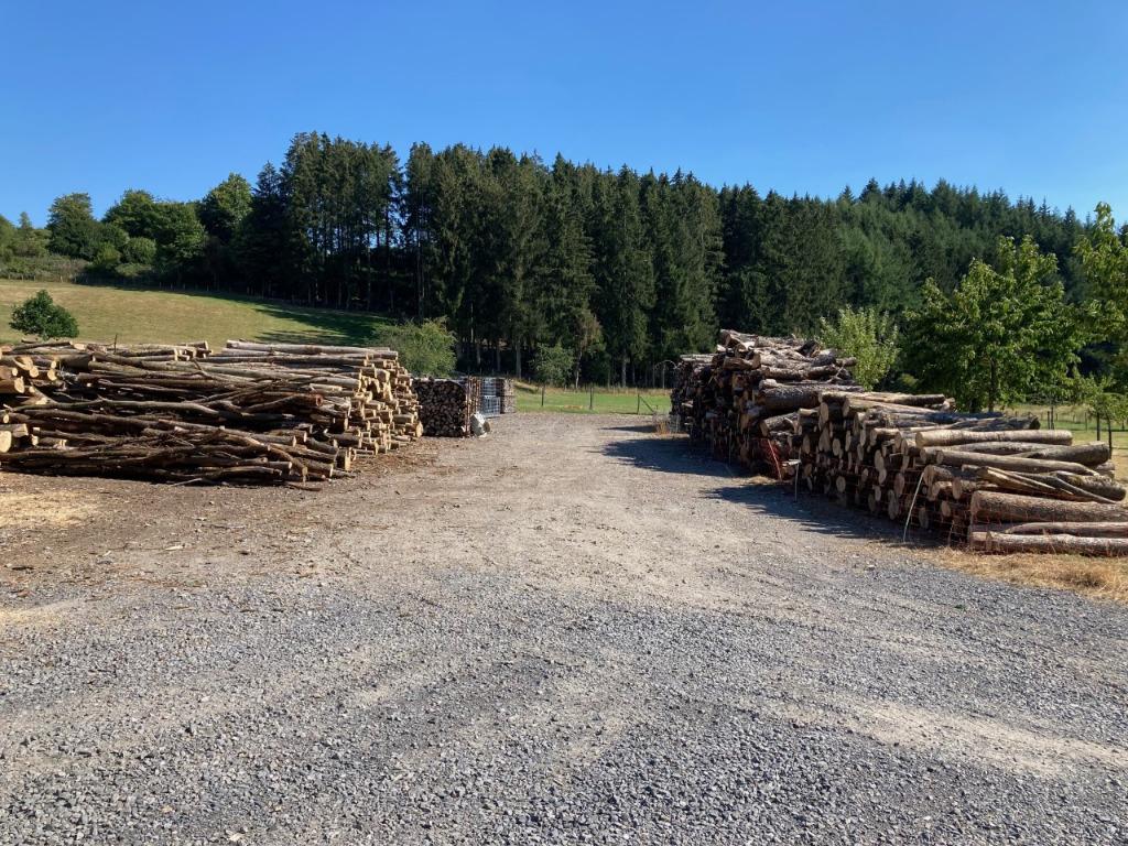 Bois de chauffage : chêne et frêne, provision 2026-2027, 6 m³ ou plus, Envoi, Chêne, Bûches