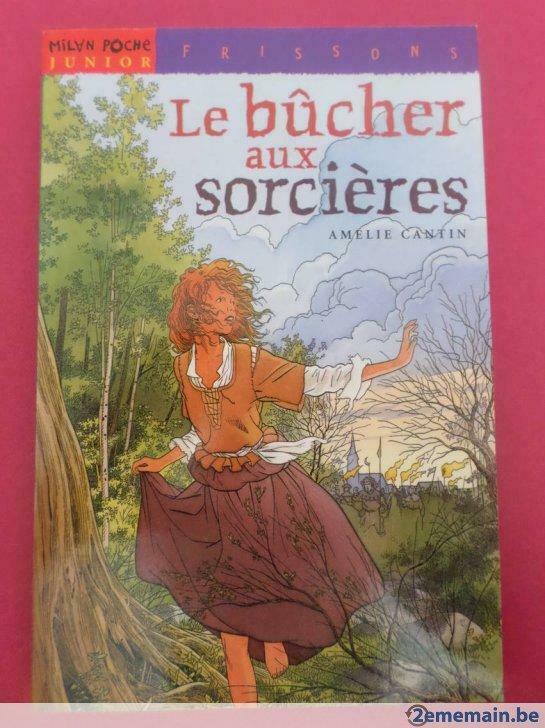 Le bûcher aux sorcières de Amélie Cantin **neuf**, Livres, Enlèvement ou Envoi, Neuf