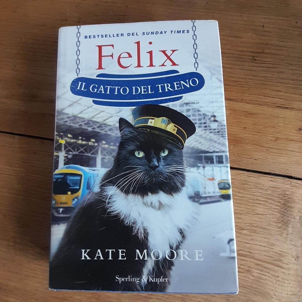 FELIX Il gatto del treno, Kate Moore, Europa overig, Kate Moore, Ophalen of Verzenden, Zo goed als nieuw