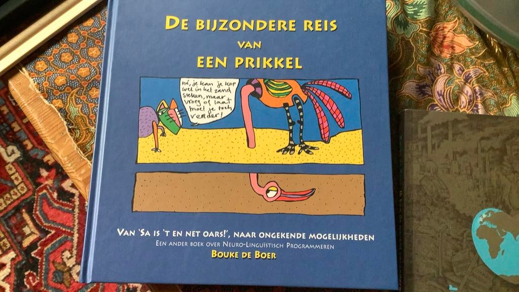 Bouke de Boer - De bijzondere reis van een prikkel boek NLP, Boeken, Ophalen of Verzenden, Nieuw, Bouke de Boer