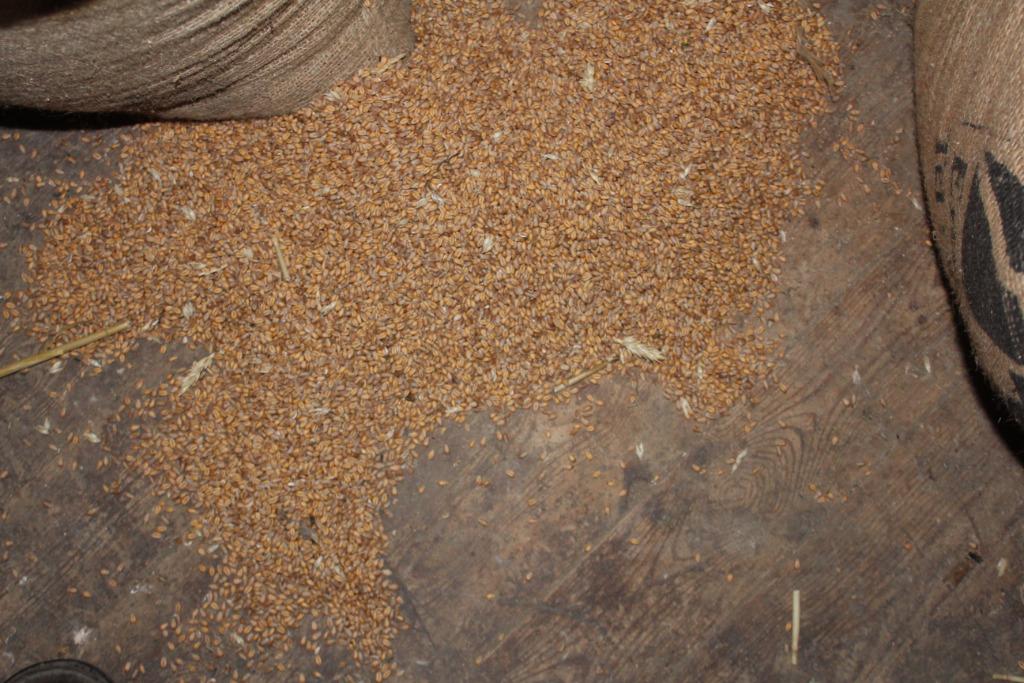 grains pour poules, Enlèvement, Volaille