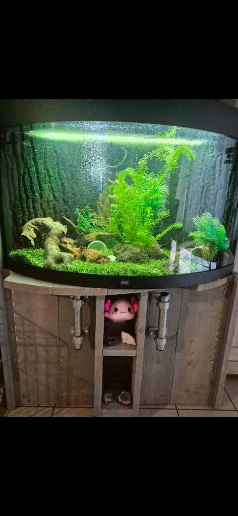 Unieke Aqarium juwel 190 liter, Enlèvement, Comme neuf, Aquarium d'eau douce rempli