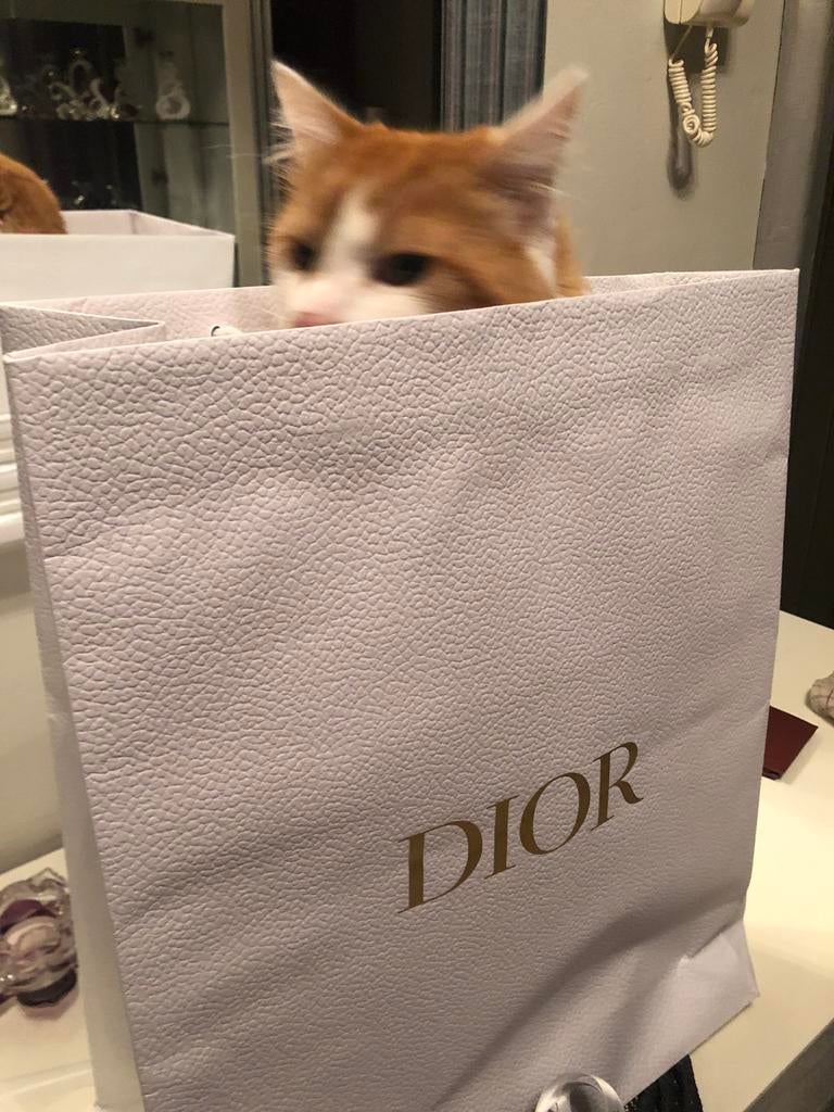 Sac shopping Dior pour emballage de cadeau, Bijoux, Sacs & Beauté, Comme neuf