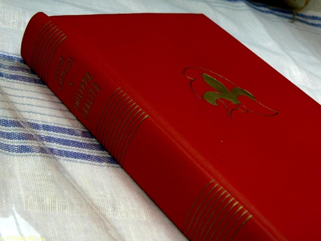 relié cuir andré Castelot PHILIPPE ÉGALITÉ le prince rouge, Livres, Romans, Comme neuf, Belgique, Enlèvement