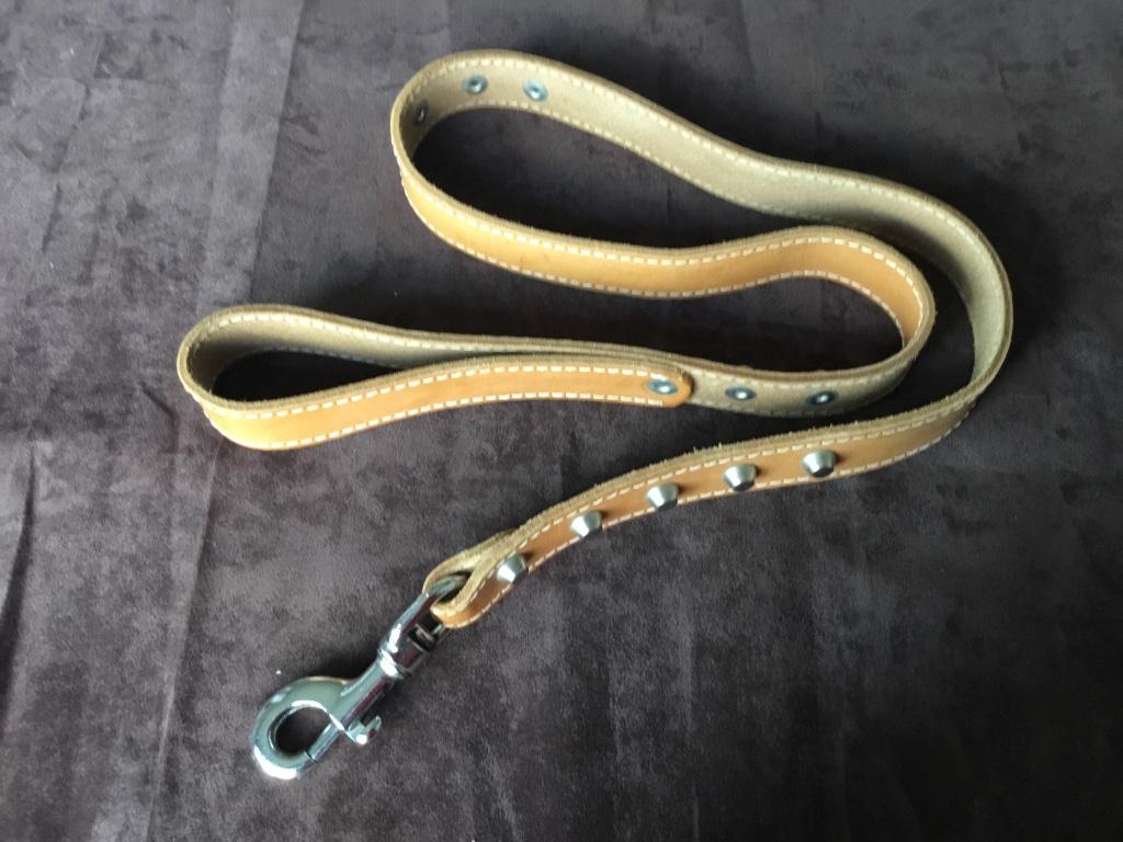 Nieuwe Lederen hondenleiband, Ophalen of Verzenden, Nieuw, Hondenriem