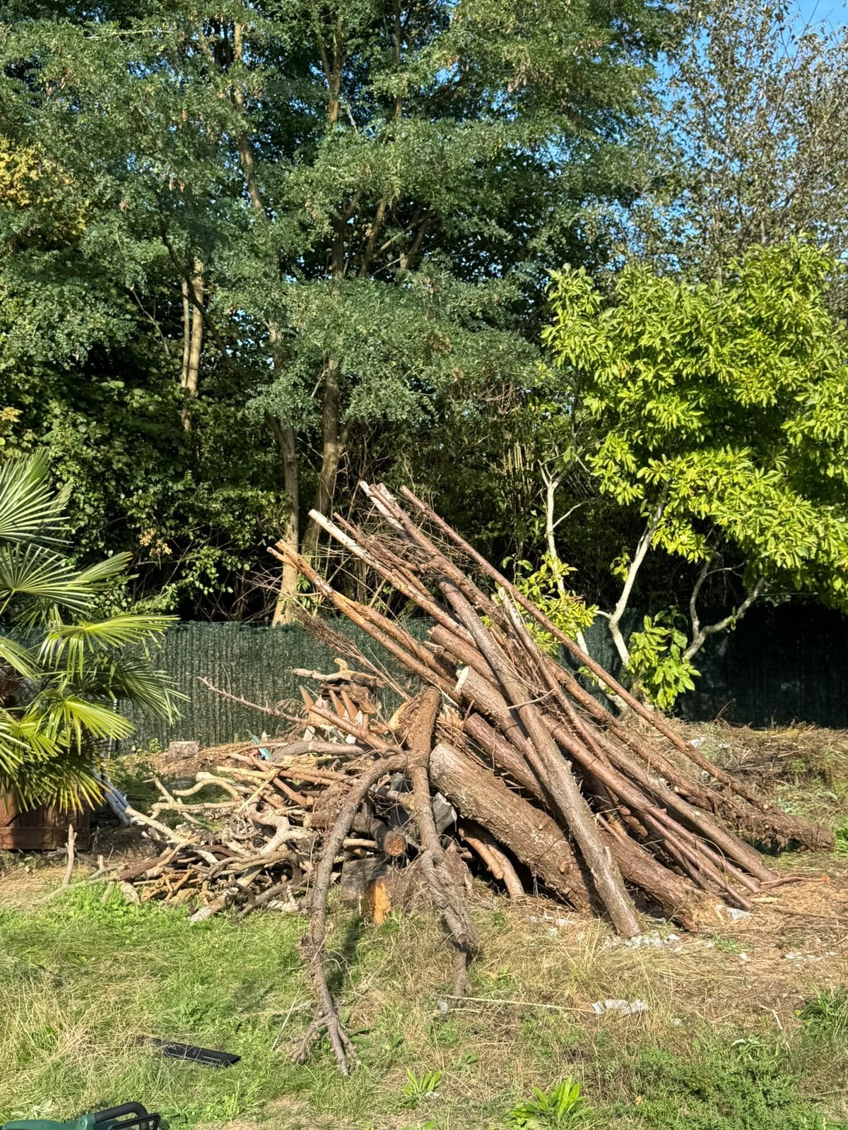 Bois de chauffage sec (2 ans) - faites une offre, Jardin & Terrasse, Enlèvement
