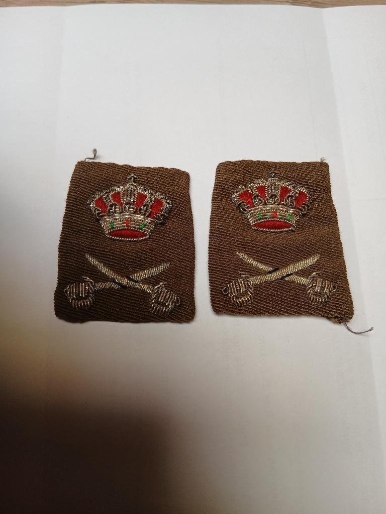 Paar insignes van het Regiment of Guides, Verzenden, Landmacht, Embleem of Badge