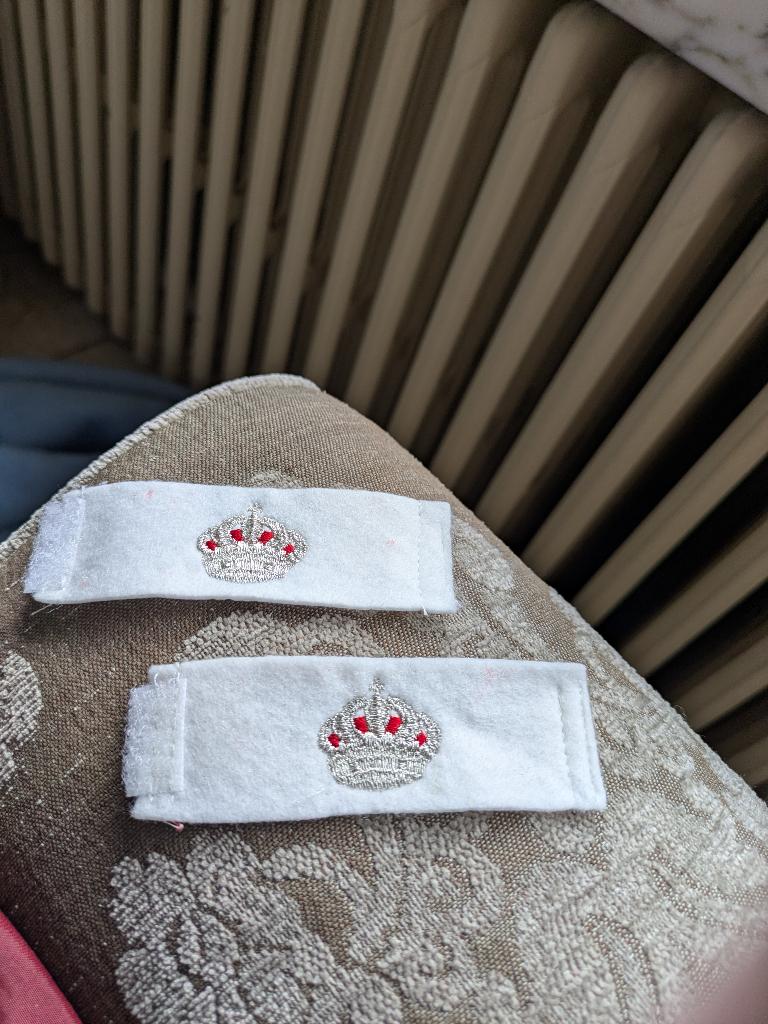 Politie borst verzamelobject, Ophalen of Verzenden, Rijkswacht, Embleem of Badge