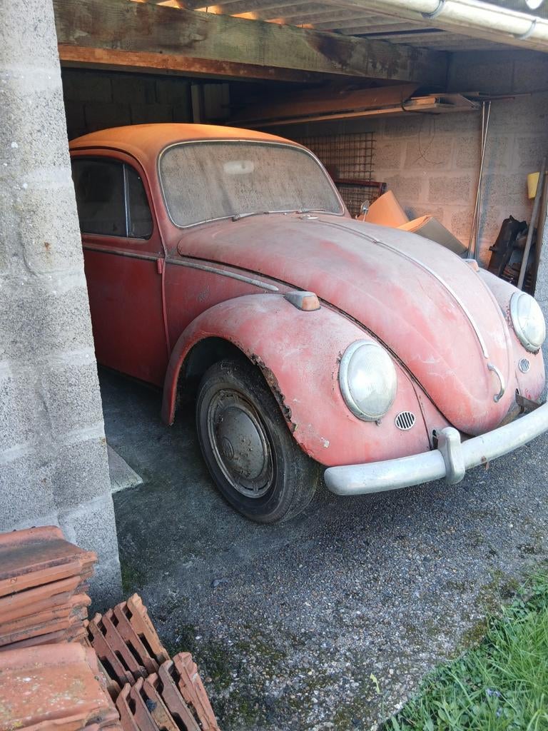 Vw kever, Enlèvement, Avant
