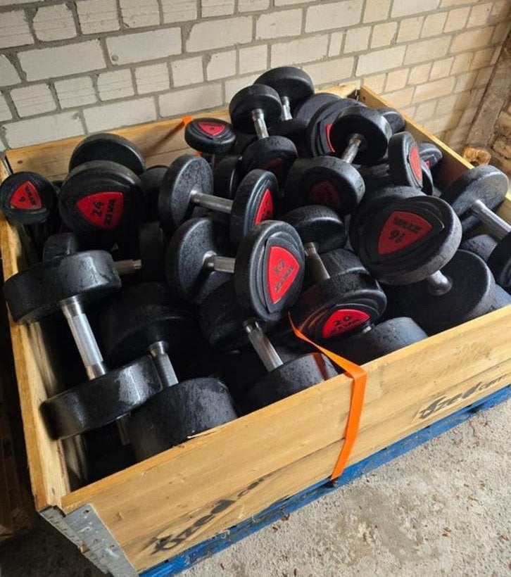 Ziva PU dumbbellset 12 tm 40 kg, Sport en Fitness, Ophalen