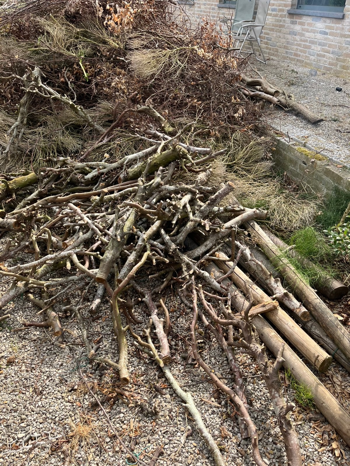 Gratis brandhout, Enlèvement