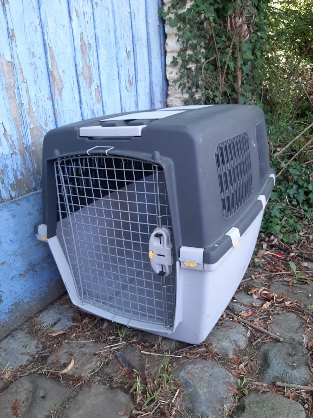 Transportbox voor honden, Dieren en Toebehoren, Ophalen, Zo goed als nieuw