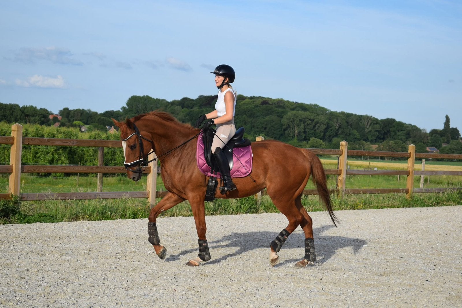 Halfpension gezocht voor toffe merrie!, Animaux & Accessoires, Box & Pâturages, Mise à l'étable, 1 cheval ou poney