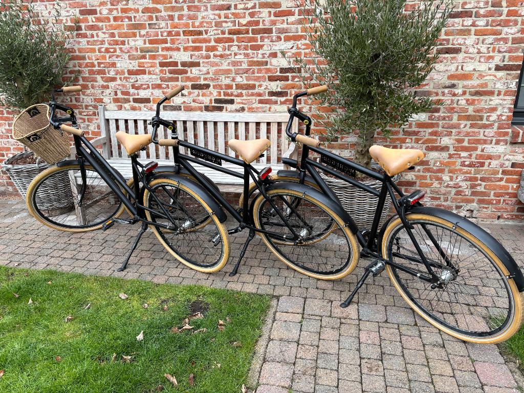 Fiets, Fietsen en Brommers, Fietsen | Dames | Damesfietsen, Ophalen, Gebruikt, Overige merken