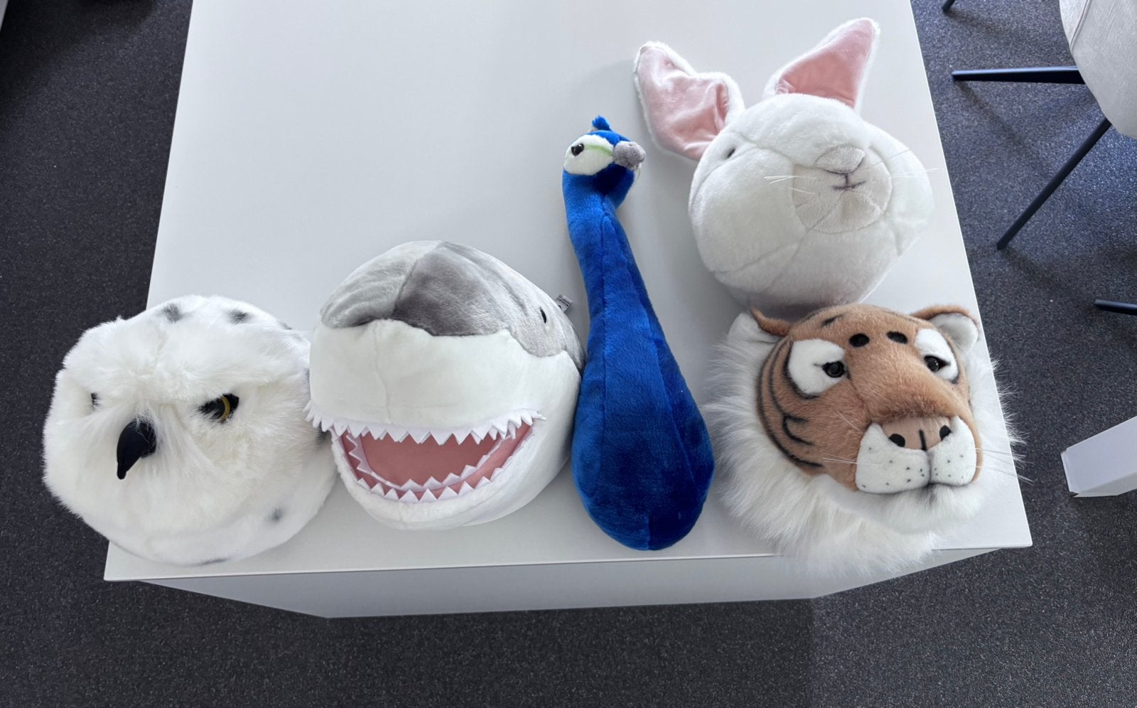 Dierenkoppen, Ophalen