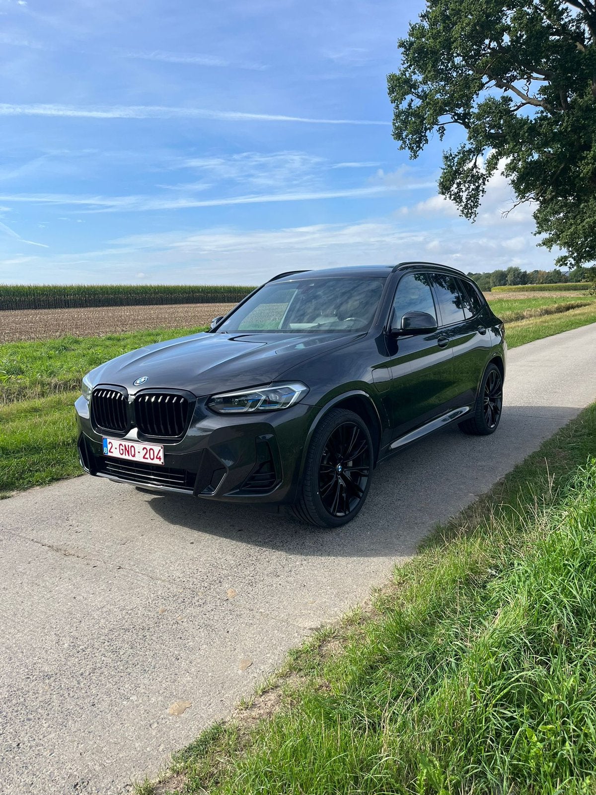 Bmw x3 30e hybride, Auto's, Automaat, 4 cilinders, Leder, Bedrijf