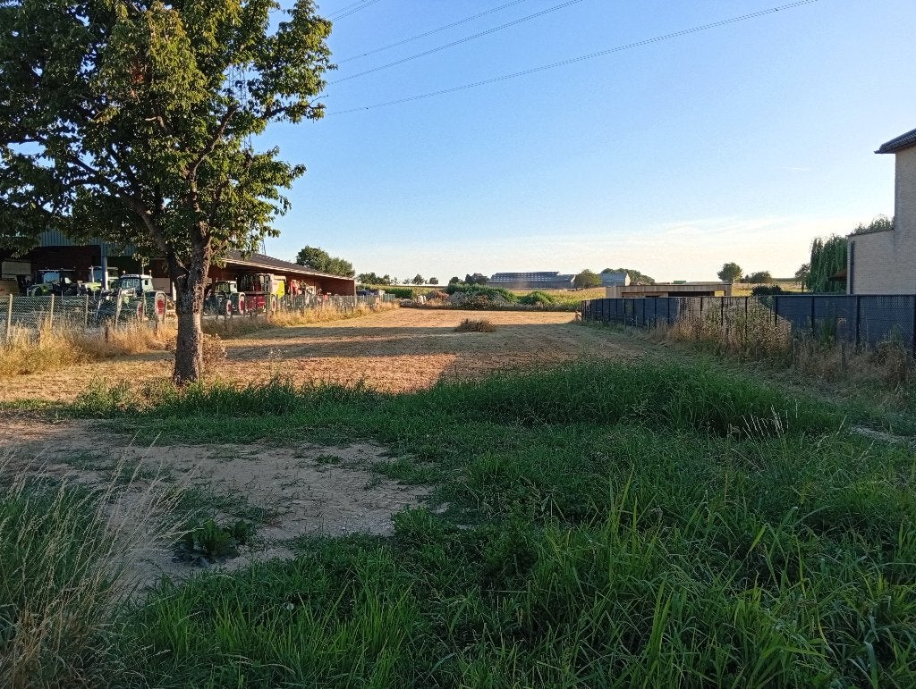 Terrain à bâtir + prairie 4 525 m² - Millen (Riemst), RIEMST, Ventes sans courtier, 1500 m² ou plus
