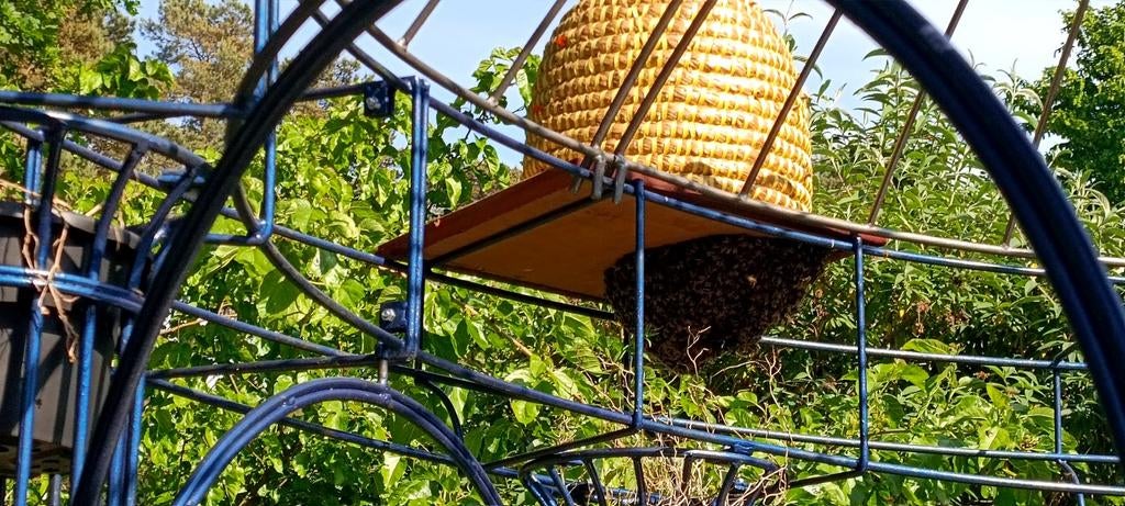 Supprimez l'essaim d'abeilles.