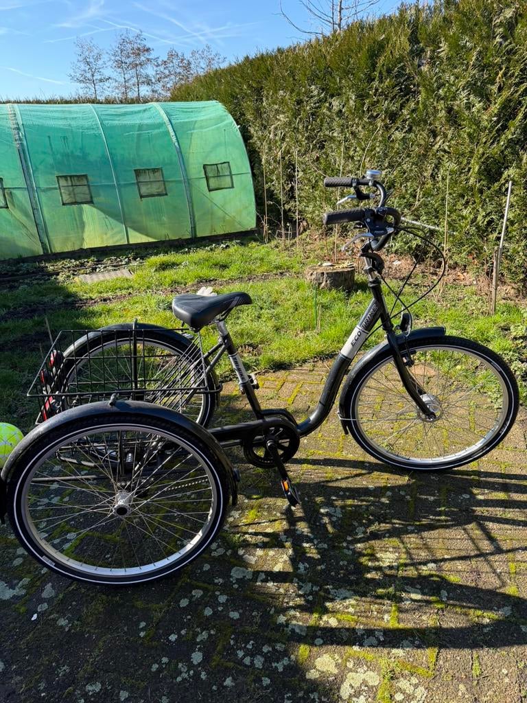 Driewieler, Fietsen en Brommers, Ophalen, Zo goed als nieuw, Verstelbare zitting