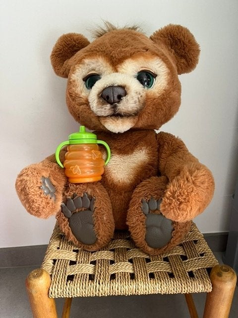 FurReal Cubby, Enlèvement, Utilisé, Ours