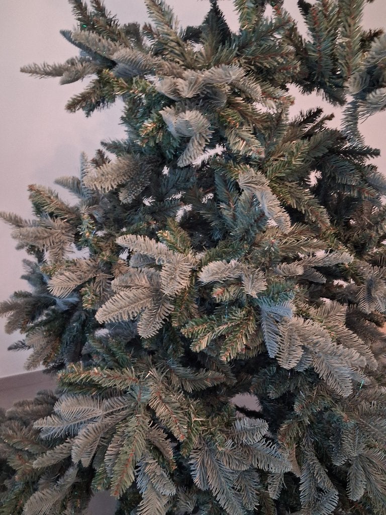 mooie grote (2m hoog) kerstboom Abies Nordmann Triumph tree, Diversen, Ophalen of Verzenden