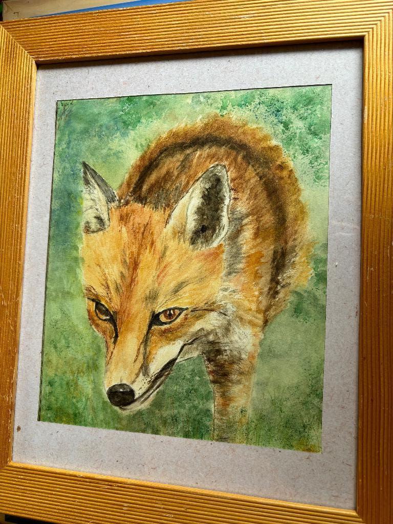 Renard, Enlèvement ou Envoi, Animal sauvage
