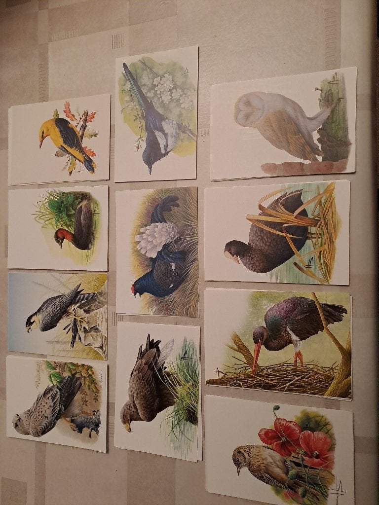 postkaarten BUZIN, Ophalen