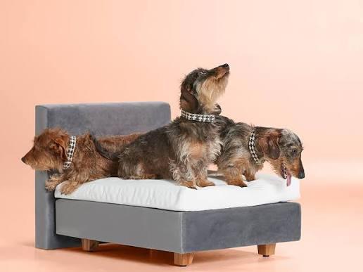 Honden bed/boxspring 70x80cm velvet grey, Enlèvement, Comme neuf