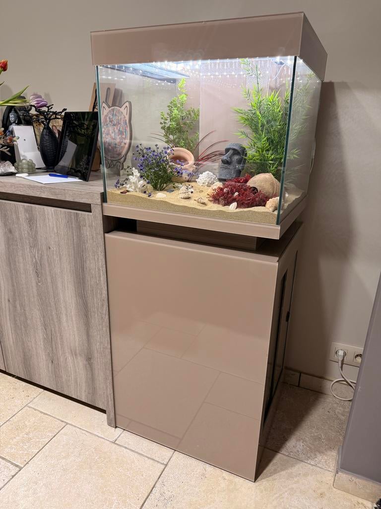 Aquarium cube, Animaux & Accessoires, Poissons | Aquariums & Accessoires, Comme neuf, Enlèvement