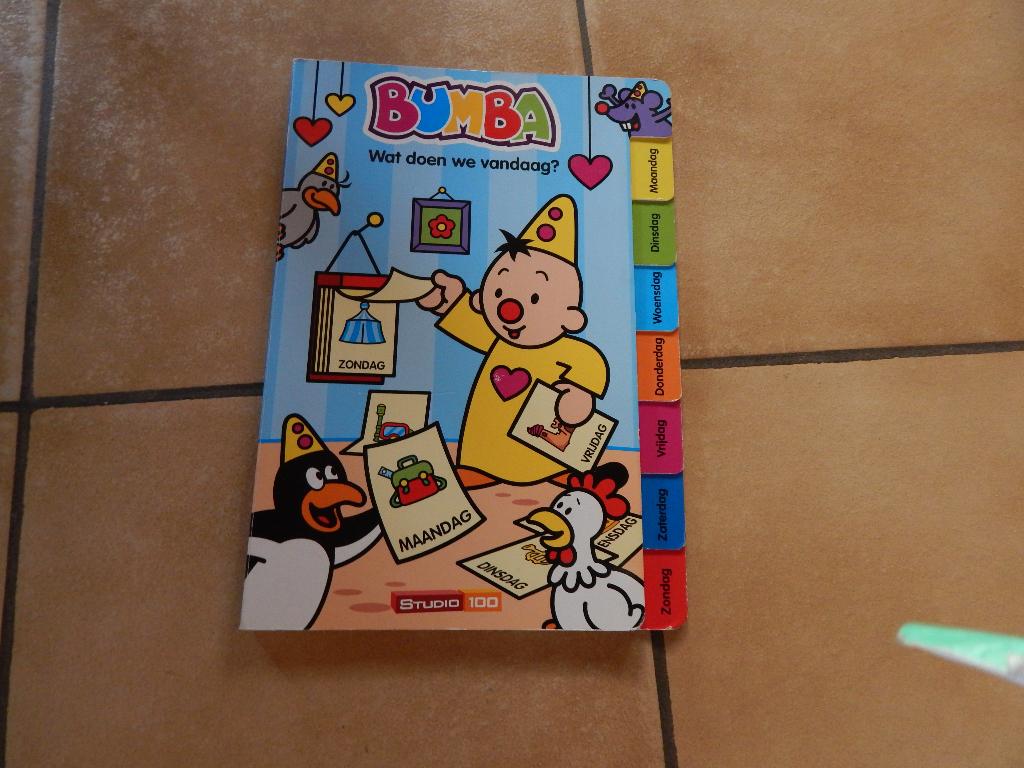 bumba wat doen we vandaag, Ophalen of Verzenden, Zo goed als nieuw, Studio 100, 1 tot 2 jaar