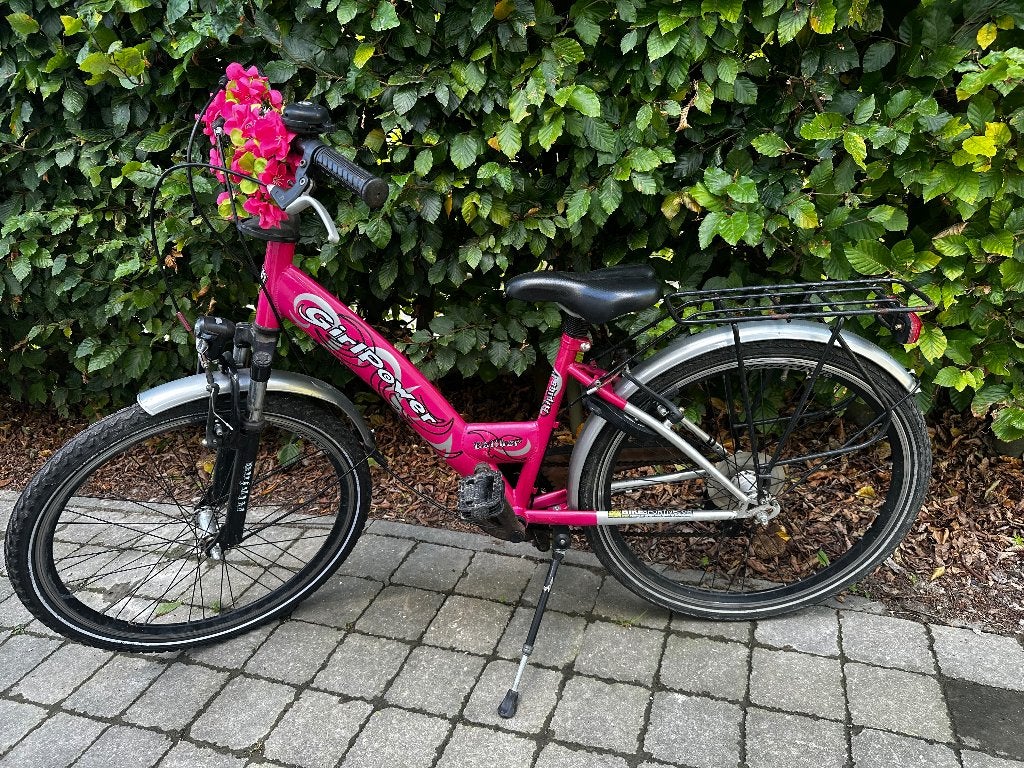Fiets 24 inch, Alpina, Frein à main, Enlèvement, Utilisé